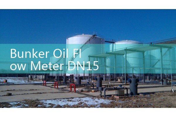Bunker Oil Flow Meter DN15: Fuel Supply Optimization for Marine Boilers